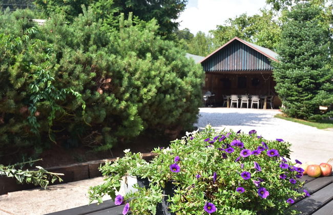 Chalet in Levinska Ole Near Giant Mountains - Foto 32