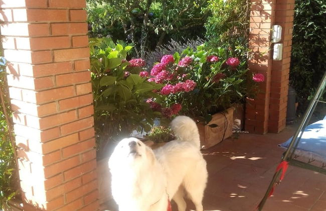 B&B da Ronald...a Pian del Papa - Photo 38