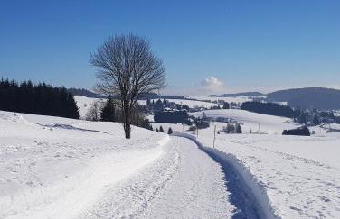 Jules Traum im Schwarzwald - Foto 76