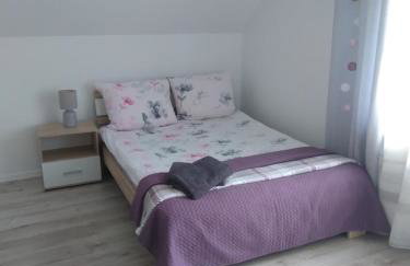 Noclegi U Janusza - Bieszczady - Photo 6