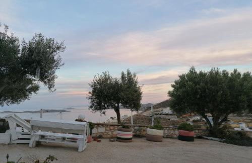 Sarris Planet - Photo 5