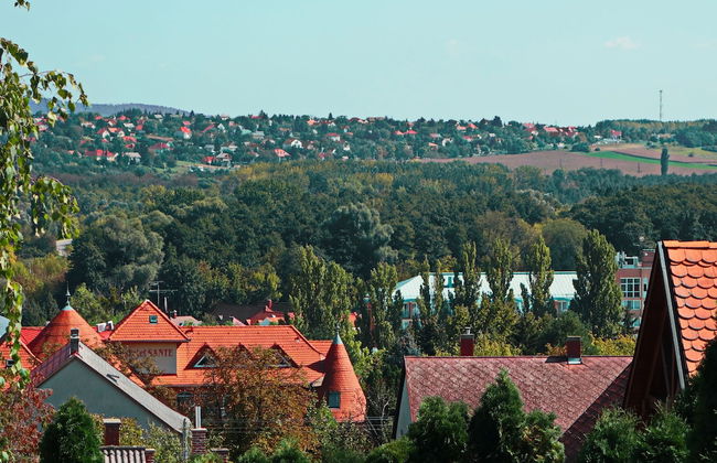 Tolena Heviz Apartments - Foto 61