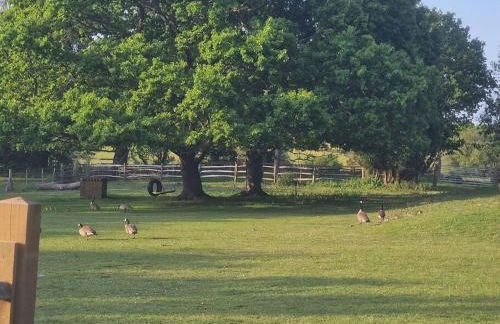Country retreat near sea and South Downs, on National Cycle Network - Foto 19