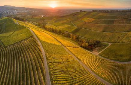 SK Ferienapartments Kappelrodeck - Photo 33