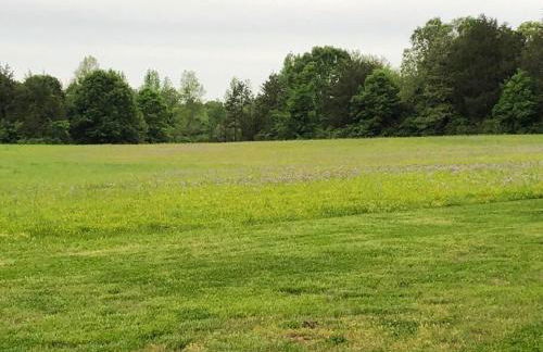 Cozy and Peaceful Tiny House on a 100-acre Farm - Foto 18