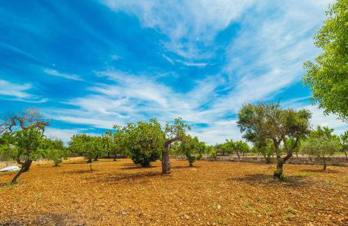 Can Pascolet - Foto 60