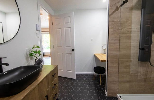 Sommet- Pet Friendly- Spa- SKI IN SKI OUT St-c me - Foto 14