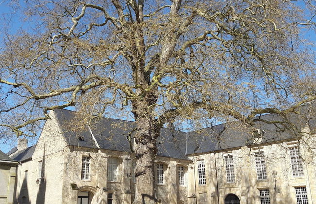 Apartment in the Historic Centre of Bayeux - Foto 20