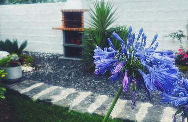 Casa do Lavrador - Photo 14