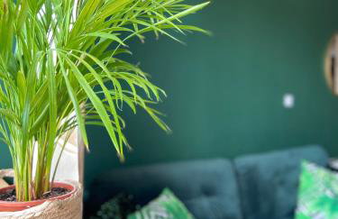 Apartamenty Termalne GREEN Apartment - Foto 10