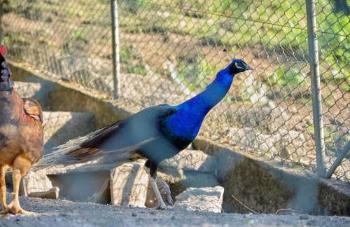 Quinta de Silharezes, Lda - Foto 44