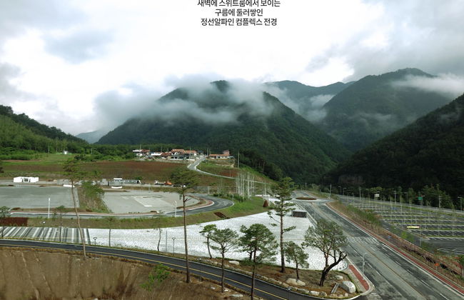 Pine Forest - Photo 24