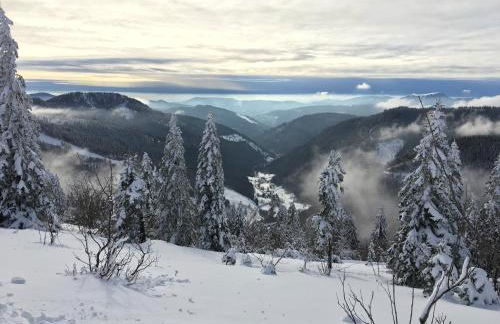 Haus Wiesenquelle, Deluxe-Apartment 'Feld & Berg' - Foto 24