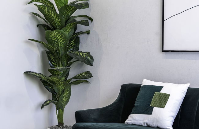 Mabaat - Al Aqiq - 399 - Foto 29