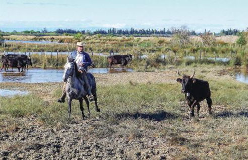 Gorgeous Apartment In Aigues-Mortes - Foto 23