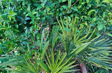 Penty La Houssaye - Photo 33