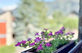 Las casitas de mache - SALENQUES - Foto 12