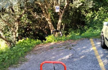 Uscio Natura - Foto 13