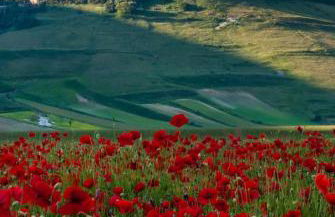 Cottage in montagna Montemonaco - Foto 51