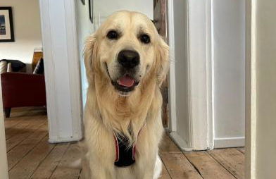 Loch Lomond Apartment - Foto 14