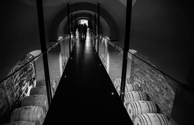 Visita alla cantina Regina Viarum - Foto 5