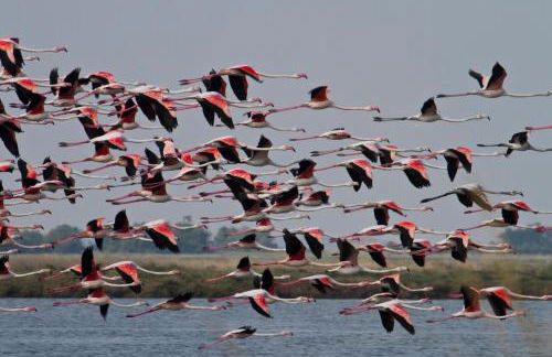 Residence San Paolo - Foto 63