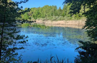 Wintertraum in Damm - 70 qm Wellness & Wohlfühl-Atmosphäre - Foto 58