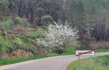 El Descanso de Las Hurdes - Foto 25