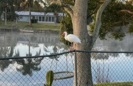 Private Tropical Waterfront Sanctuary w pool, hot tub & an island! Pet Friendly - Foto 5