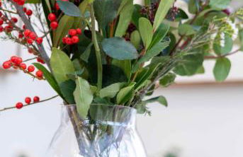 Quaint 18th Century Cottage in Lymington - Foto 55