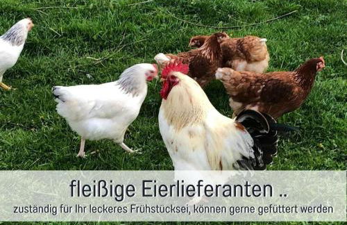 "Am Backhäusl" Comfortable holiday residence - Photo 17