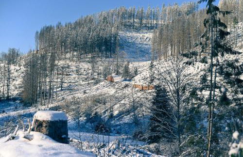 Tiny House Nature 12 - Green Tiny Village Harz - Foto 30