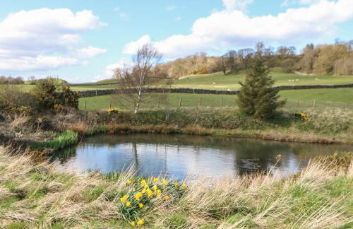 Low Shipley Cottage - Foto 29