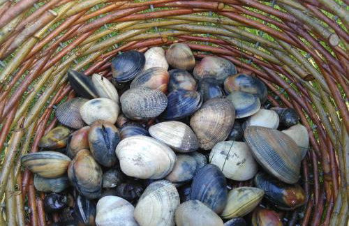 LE PETIT NID DANS LA ROULOTTE - Foto 30