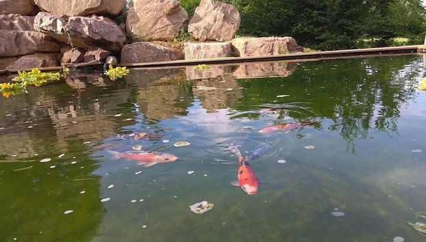 Terraço/pátio interior