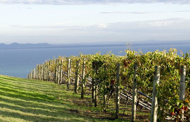 Around the Bay Sightseeing - Photo 1