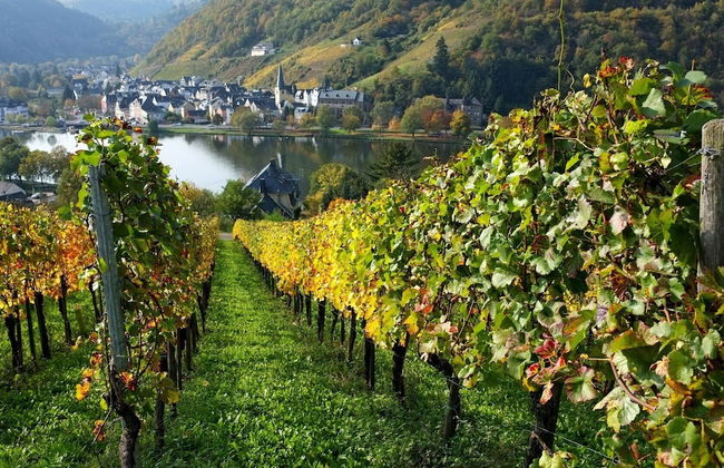 Ferienwohnung Haus Kotthoff - Foto 37