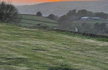 Oakley View Shepherds Hut with hot tub - Photo 24