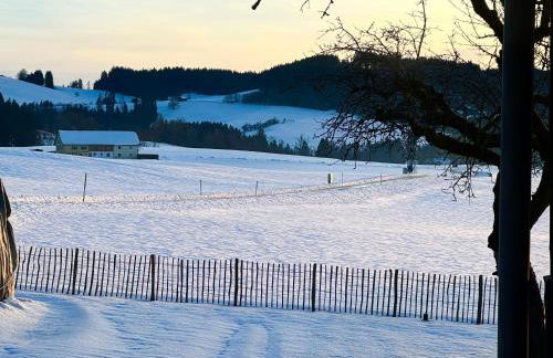 Genau so - Allgäu! Sau Gemütlich - Foto 14