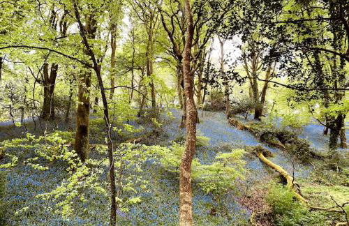 Olive's Cabin - Foto 13