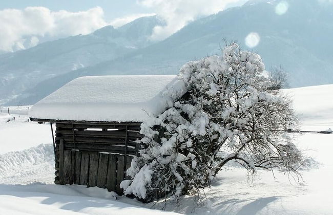 Garden House - Foto 30