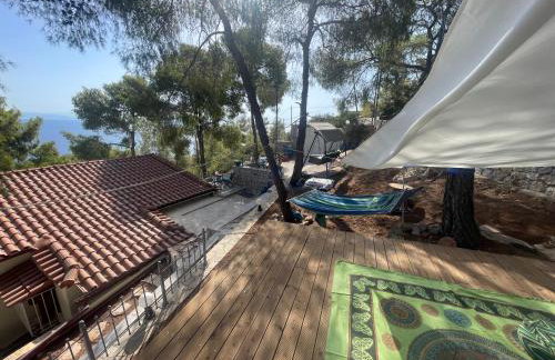 pines & sea - Foto 9