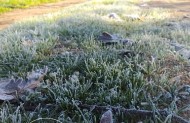 Ninho Bico-de-Lacre ~ o paraíso é a/na Terra - Foto 47