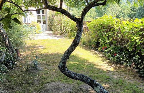 joli gîte plain pied - Foto 8