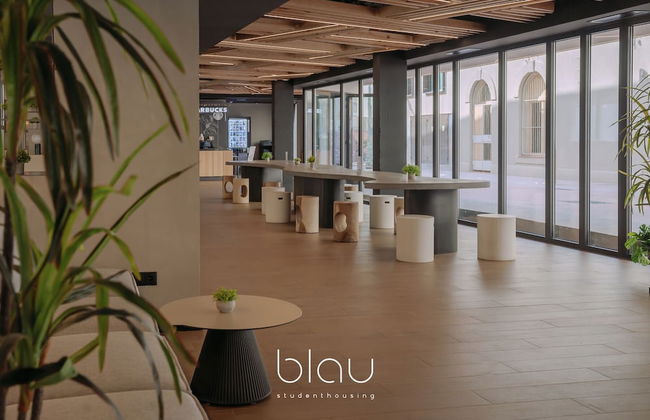 BLAU Student Housing & Language Academy - Foto 3