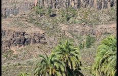 Gästehaus Casa Roca Fataga - Foto 15