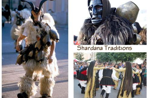 Shardana Blu - Net Zero Home Holiday - Foto 69