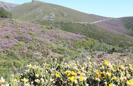 Casa Douro Terrace - Foto 49