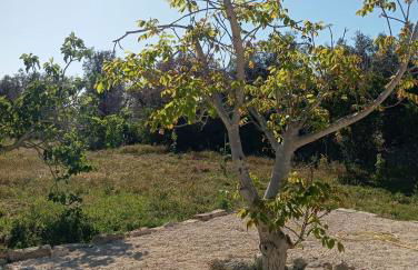 Casolare Giardino Aiarella-Assunta - Foto 42