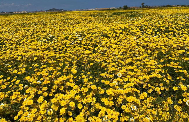 Outstanding 2 bed Apartment With Rooftop sea Views - Foto 24